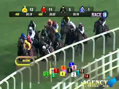 SINGAPORE RACE 27/10/2013 RACE 11 - iAgencyNet.com