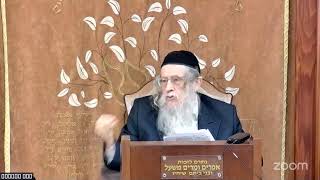 הרה"ג הרב וועכטר שליט"א כ"ד אדר תשפ"ה (הרב אברהם מנחם מענדל וכטר) - התמונה מוצגת ישירות מתוך אתר האינטרנט יוטיוב. זכויות היוצרים בתמונה שייכות ליוצרה. קישור קרדיט למקור התוכן נמצא בתוך דף הסרטון