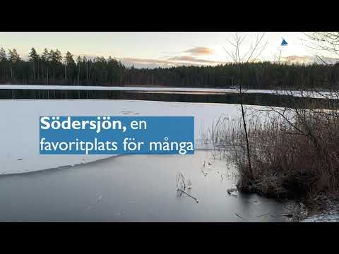 Välkommen ut i Trastsjöskogen!