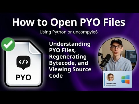 What Is A Pyo File Python Optimized Bytecode Explained