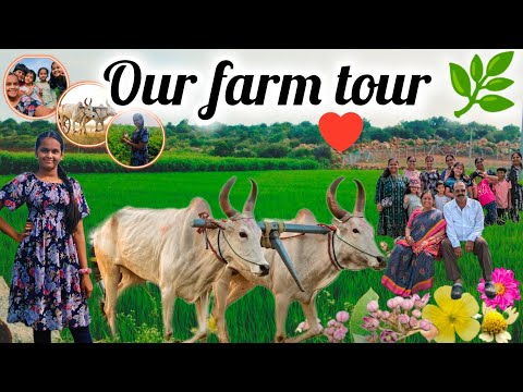 our farm tour 🌿#nature #hansika #youtube #flowers 🥰