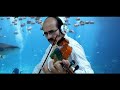 Pal Pal Dil Ke Paas - Hindi Song Violin Cover