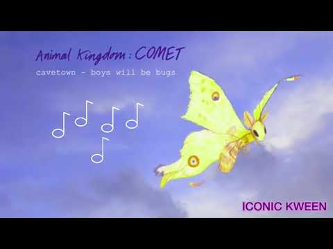 Boys Will Be Bugs- CaveTown 🕚 1hr 🔁 loop+ lyrics