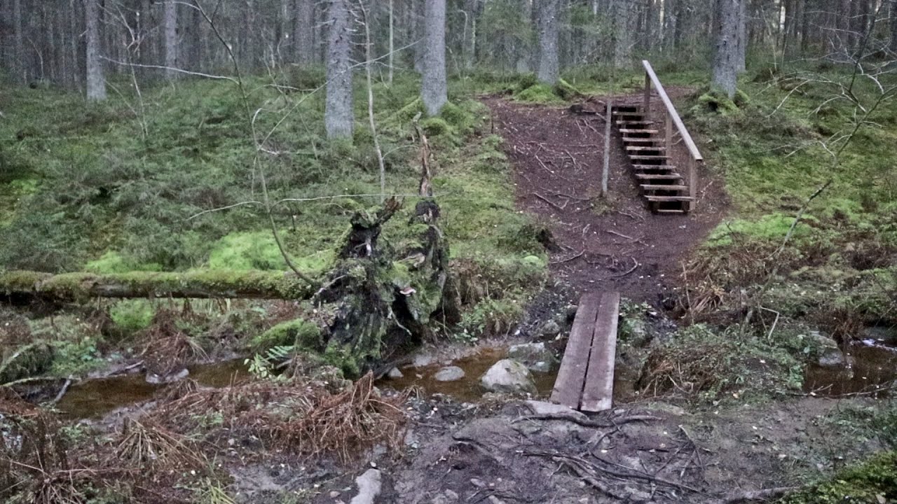 Jyväskylä, Laajavuori Nature Trail, Finland, oct 22