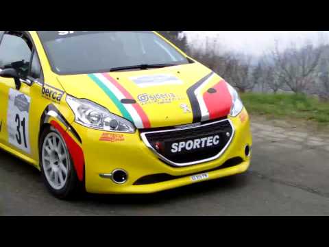 1^ Rally Del Piemonte -  Citta di Dogliani / By Visione Rally