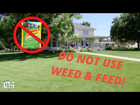 image-How much does weed & feed cost?