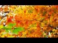 Падают листья - Юрий Шатунов 