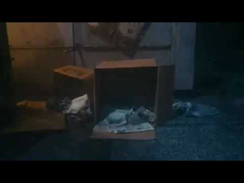 Carly Rae Jepsen - Now That I've Found You (Wideboys Radio Edit)