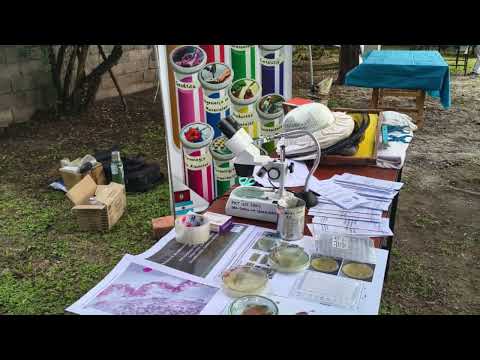 INIQUI en la Feria de Ciencia en IBIGEO