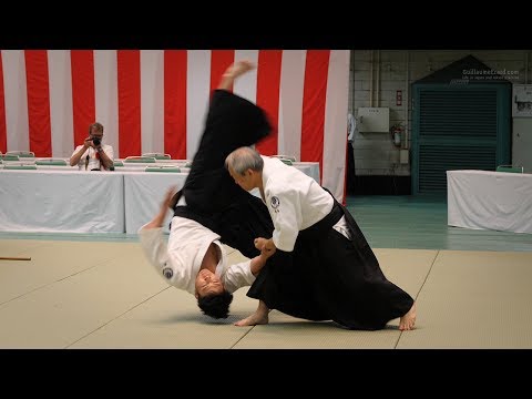 Aikido - Shirakawa Katsutoshi Shihan - 55th All Japan Aikido Demonstration 2017