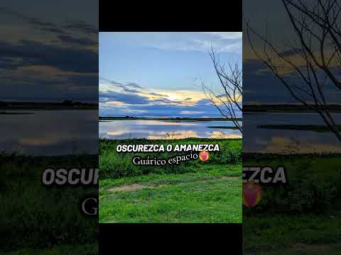 los esteros de Camaguan Guárico 🤠 #venezuela #viralvideo