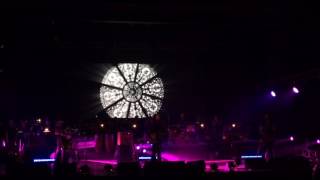 Owl &amp; Wolf - The Sigit [mythical men ensemble 300716]