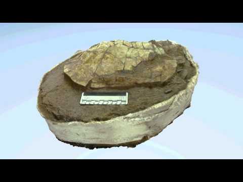 Turtle Photogrammetry: Video 1
