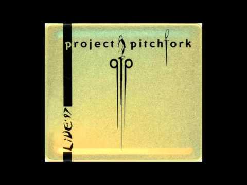Project Pitchfork - The Hint