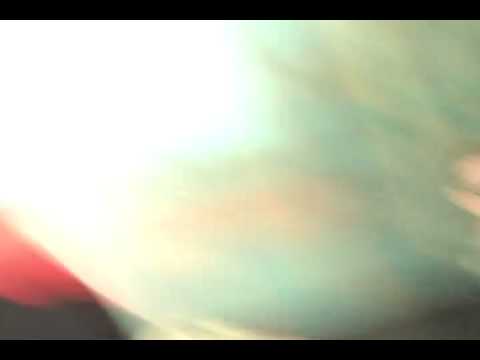 tommy gunn and bree olson onset