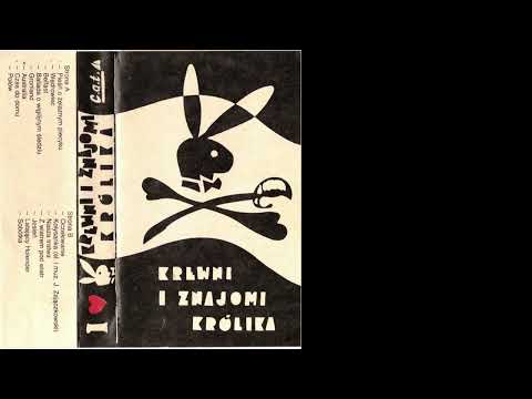 Belfast - Krewni i Znajomi Królika