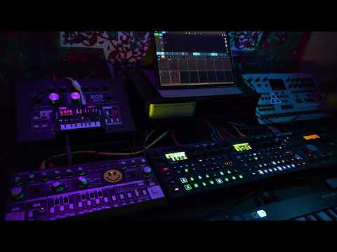 come on you c*nts, lets have some gyza acid!