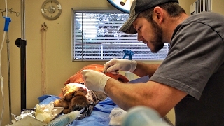 Crazy Transformation!!!