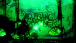 WOLFGANG GARTNER - PIRANHA (OUT NOW ON BEATPORT)