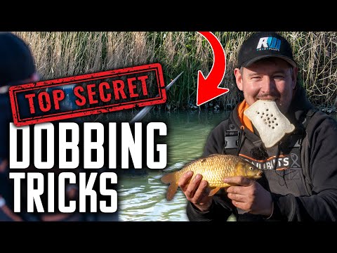 THIS is how to catch more DOBBING bread | Decoy Lakes