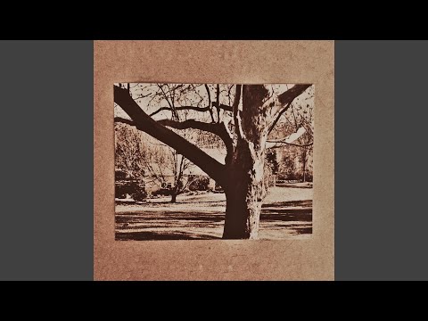 you're the most precious