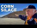3 600 COWS PRODUCING 359 000 POUNDS OF MILK PER DAY STONE RIDGE DAIRY USA