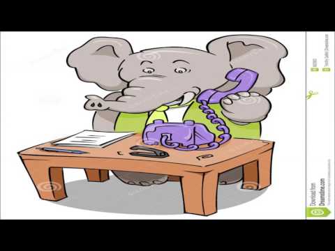 Slon i telefon - Manda