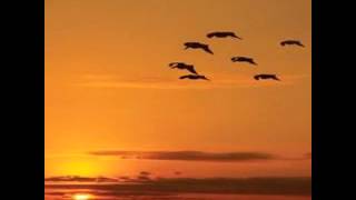 FUERA DE ESTE MUNDO-FRANCO DE VITA