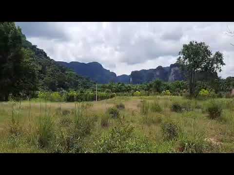 Over Four Rai of Flat Land and Beautiful Mountain Views for Sale in Khao Thong, Krabi