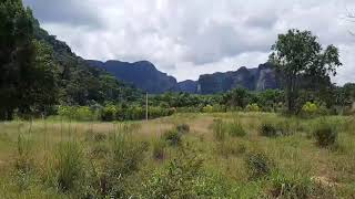 Over Four Rai of Flat Land and Beautiful Mountain Views for Sale in Khao Thong, Krabi