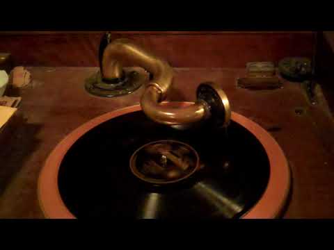 HARRY RESER'S SYNCOPATORS TOM STACKS VIVA-TONAL - PICCOLO PETE - ROARING 20'S VICTROLA 8-30