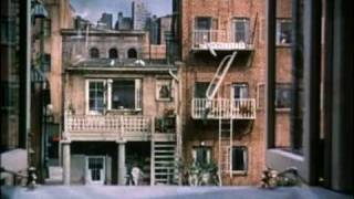 Rear Window (1954) Video