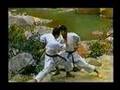 Bunkai Do Tekki Nidan