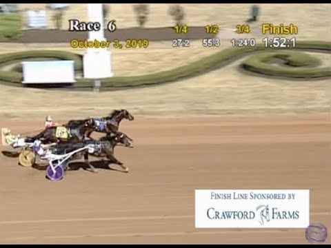 Real Cool Sam still undefeated after dead-heat win