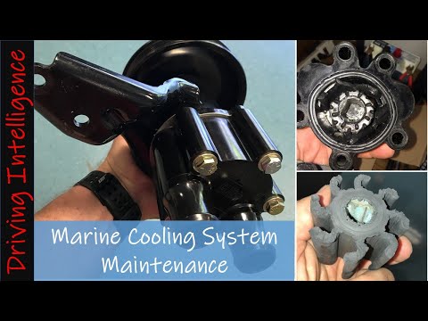 IMPORTANT Marine Cooling System Repair, Maintenance: Rubber Impeller Degradation MIE 350 MAG MPI Ski