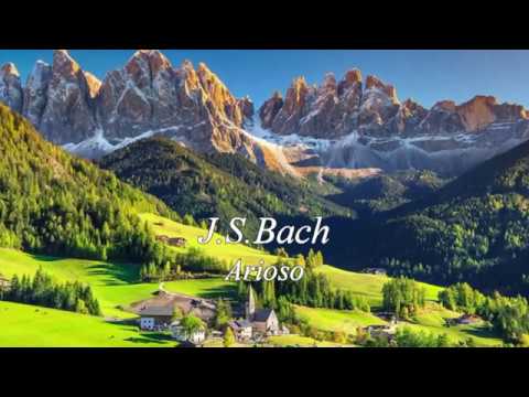 Floris Onstwedder & ZHdK Chamber Orchestra, J.S.Bach – Arioso from Cantata BWV 156 - Adagio