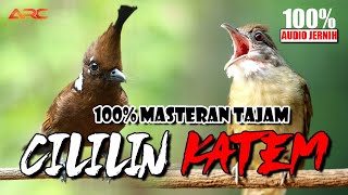Download lagu KAPAS TEMBAK VS CILILIN | MASTERAN MEWAH UNTUK JUARA mp3 Download lagu KAPAS TEMBAK VS CILILIN | MASTERAN MEWAH UNTUK JUARA mp3