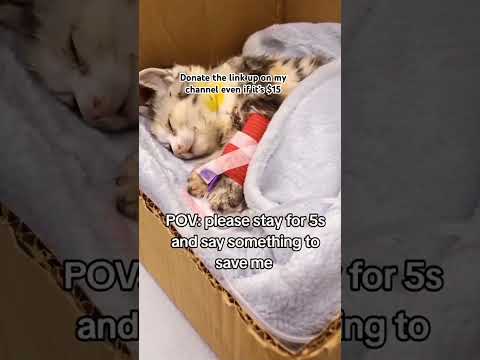 $10 can be a turning point ,use the link innthe bio. Thank you 😊 🙏 #viral #london #losangeles #nyc