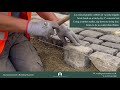 Laying And Grouting Granite Cobbles
