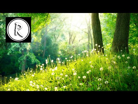 9 HOURS of Relaxing music - Meditation,Sleep,Spa,Study,Reiki,Massage,Ayurveda,Qigong,Tai-Chi