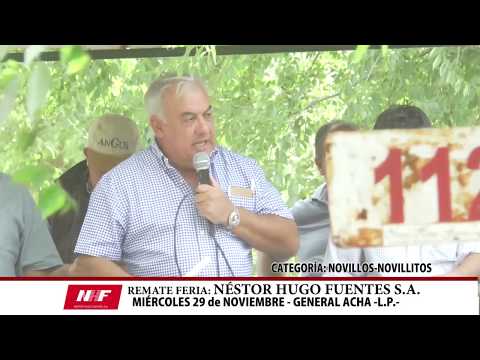 DE FRENTE AL CAMPO junto a NHF - ACHA 29 NOV.-
