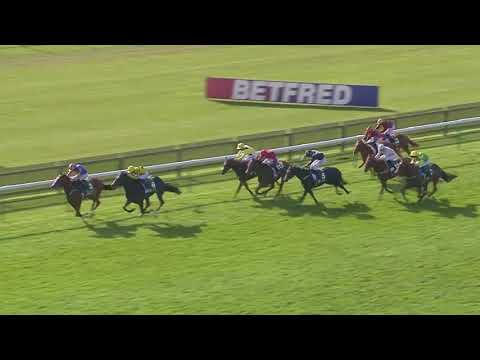 Blueprint of a Champion: CLEMMIE