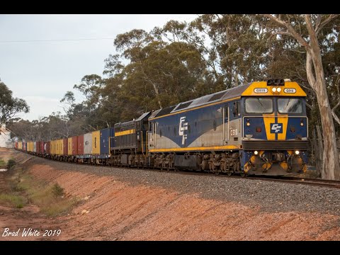 Trackside: G515 and X31 on 9178 Ultima container train at Llanelly- 3/11/19