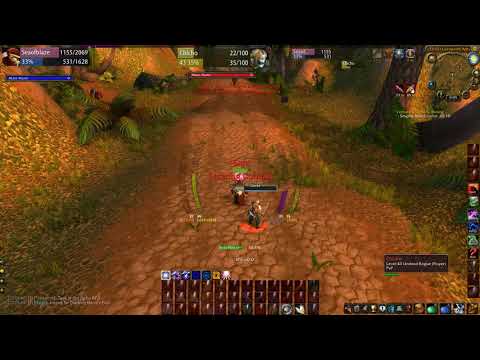 43 Paladin vs 43 Rogue, Mutual Destruction