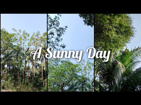 Sunny Day in Noakhali, Bangladesh🇧🇩 | Tasmiya Tasin