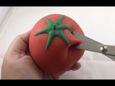 download lagu mp3 mp4 Tomato Squishy, download lagu Tomato Squishy gratis, unduh video klip Tomato Squishy