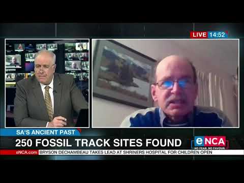 South Africa's ancient past 250 fossil track sites found