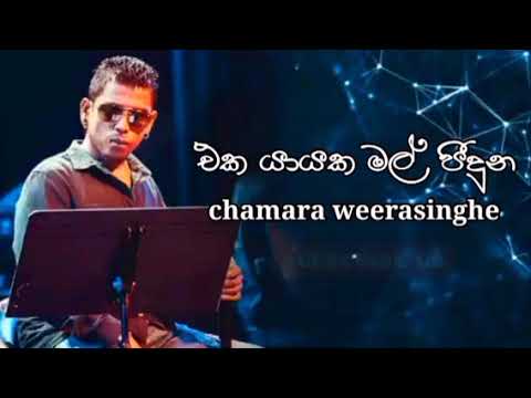 Eka yayaka mal piduna | ( එක යායක මල් පීදුන ) | චාමර වීරසිංහගේ හඩින්