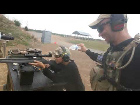 O pequeno gafanhoto com seu mestre