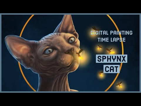 Digital Painting Time Lapse in Procreate - Sphynx Cat